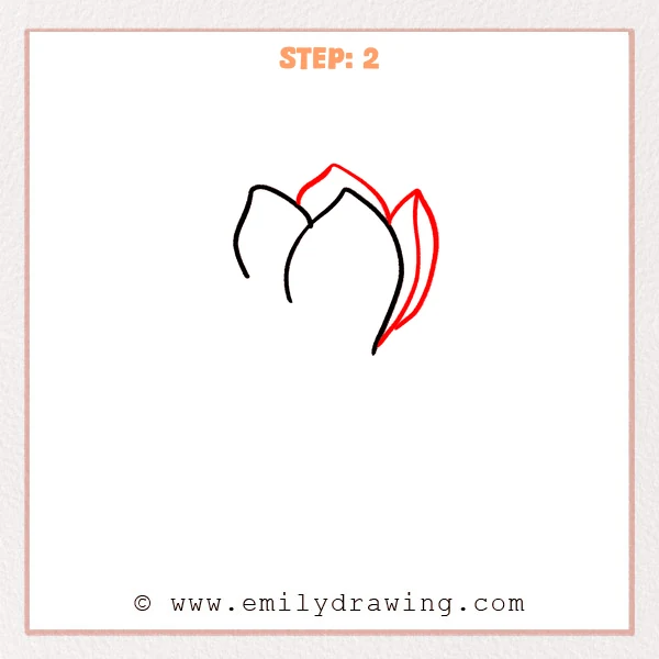 how to draw a magnolia flower - Step 2
